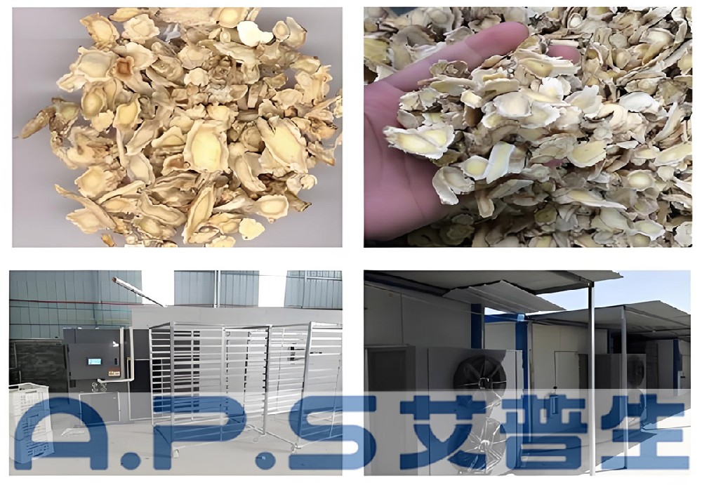 艾普生桔梗烘干機(jī)做好這幾點(diǎn)，整個(gè)桔梗烘干過程既節(jié)能又高效