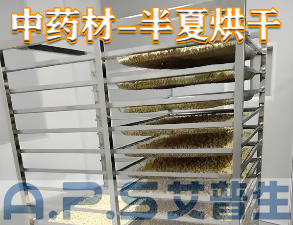 中藥材半夏烘干，除了傳統(tǒng)的烘干方法，首選推薦使用艾普生空氣能熱泵烘干機
